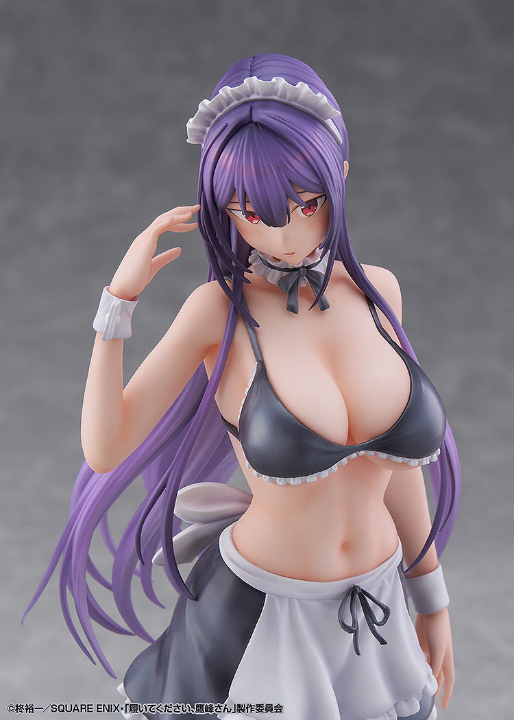 "Please Put Them On, Takamine-san" Takamine Takane 1/6 Scale Figure