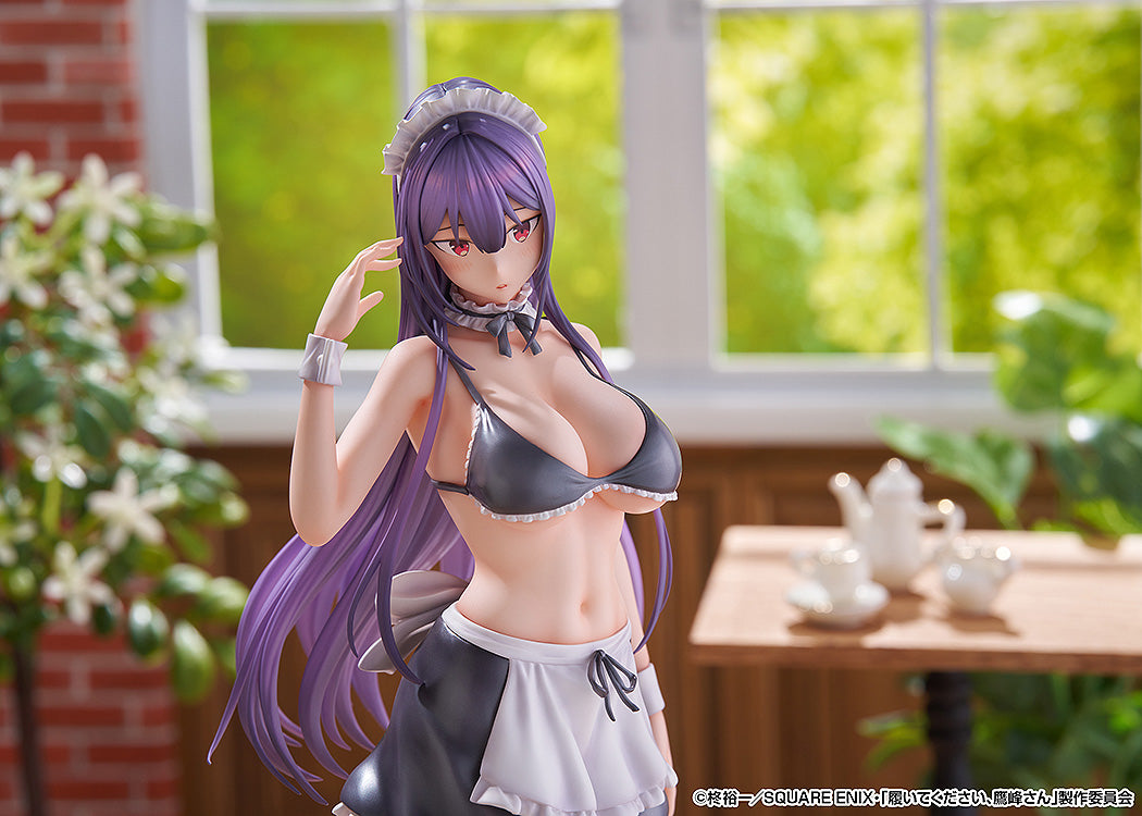 "Please Put Them On, Takamine-san" Takamine Takane 1/6 Scale Figure