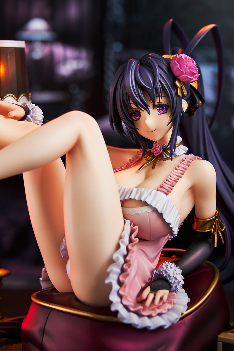 "High School DxD" High School DxD Light Novel Himejima Akeno 15th Anniversary Ver. (Renewal Package Edition)